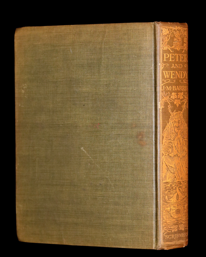 1911 Rare PETER PAN First Edition - PETER and WENDY by James Matthew Barrie illustrated by F.D. Bedford.