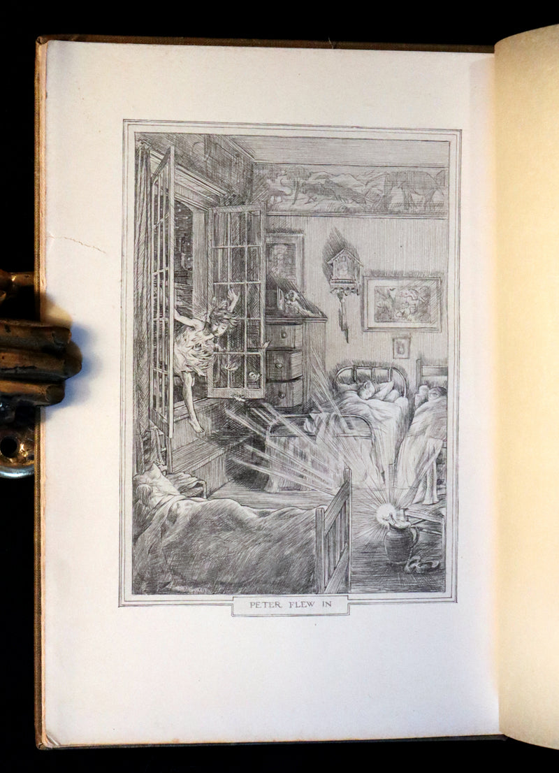 1911 Rare PETER PAN First Edition - PETER and WENDY by James Matthew Barrie illustrated by F.D. Bedford.