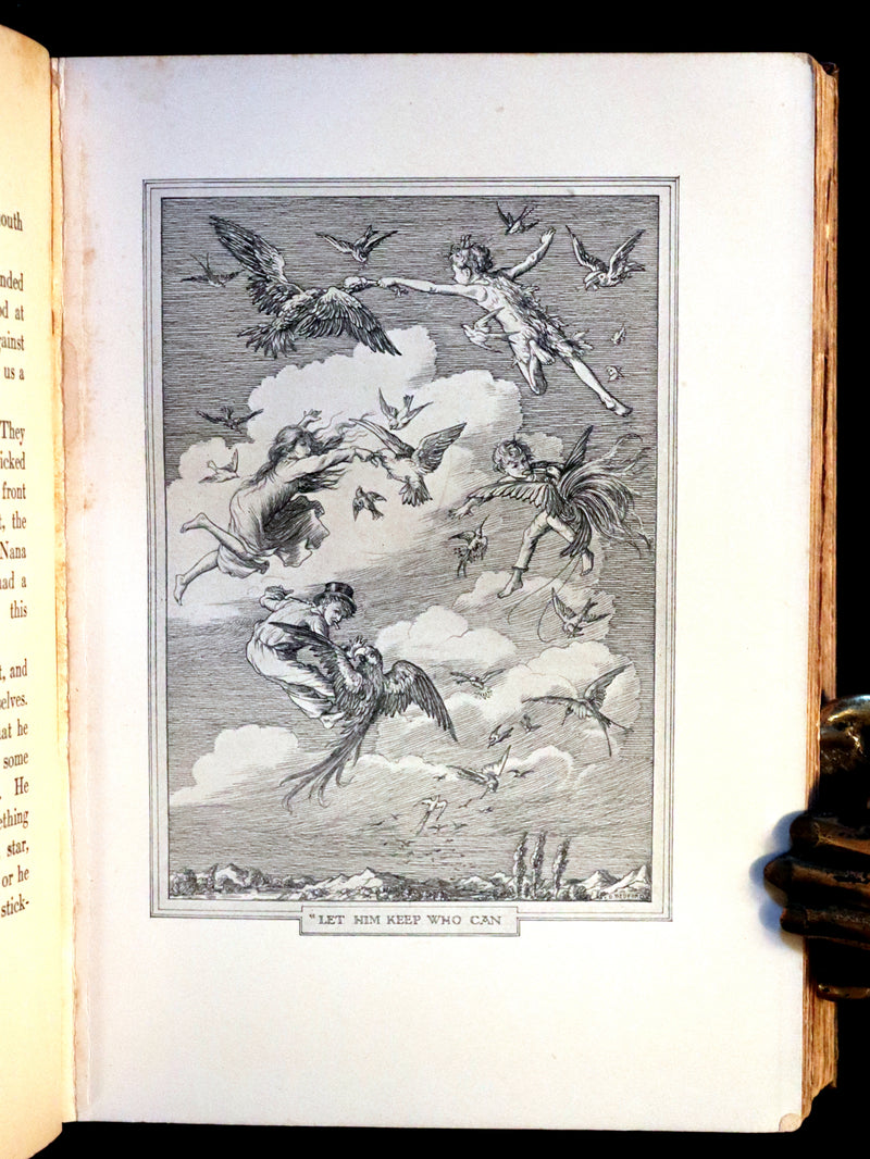 1911 Rare PETER PAN First Edition - PETER and WENDY by James Matthew Barrie illustrated by F.D. Bedford.