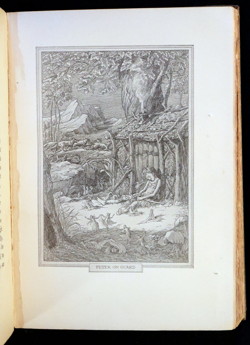 1911 Rare PETER PAN First Edition - PETER and WENDY by James Matthew Barrie illustrated by F.D. Bedford.