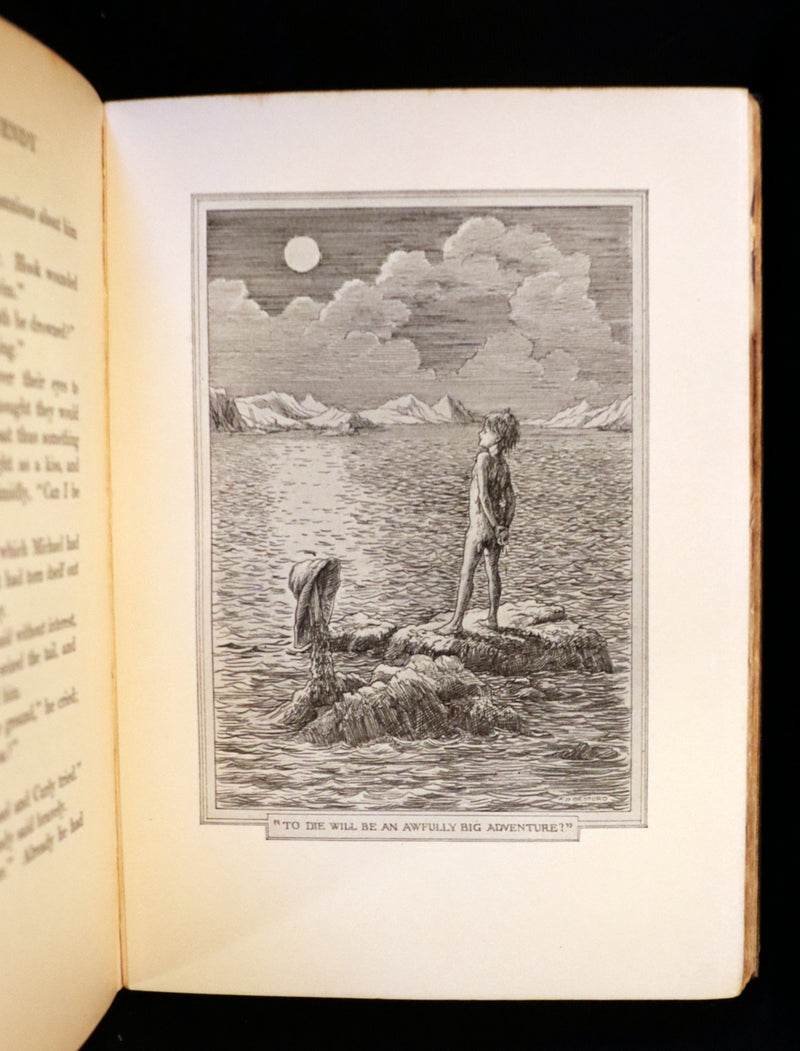 1911 Rare PETER PAN First Edition - PETER and WENDY by James Matthew Barrie illustrated by F.D. Bedford.
