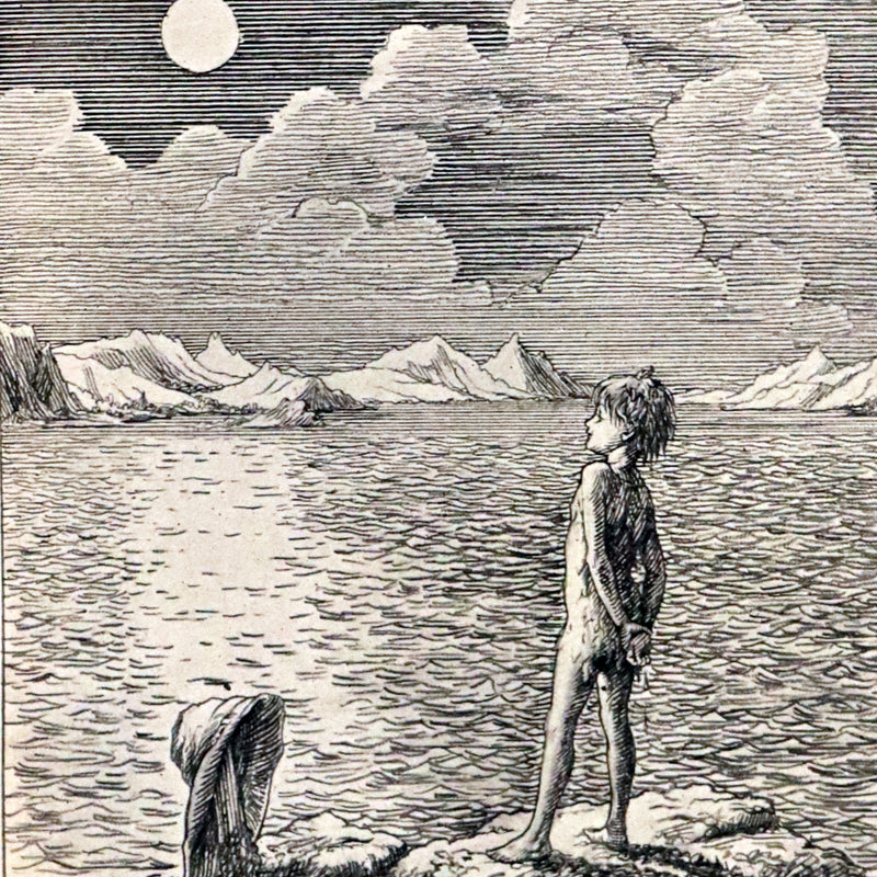 1911 Rare PETER PAN First Edition - PETER and WENDY by James Matthew Barrie illustrated by F.D. Bedford.