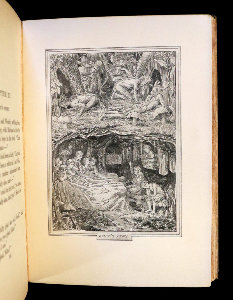 1911 Rare PETER PAN First Edition - PETER and WENDY by James Matthew Barrie illustrated by F.D. Bedford.