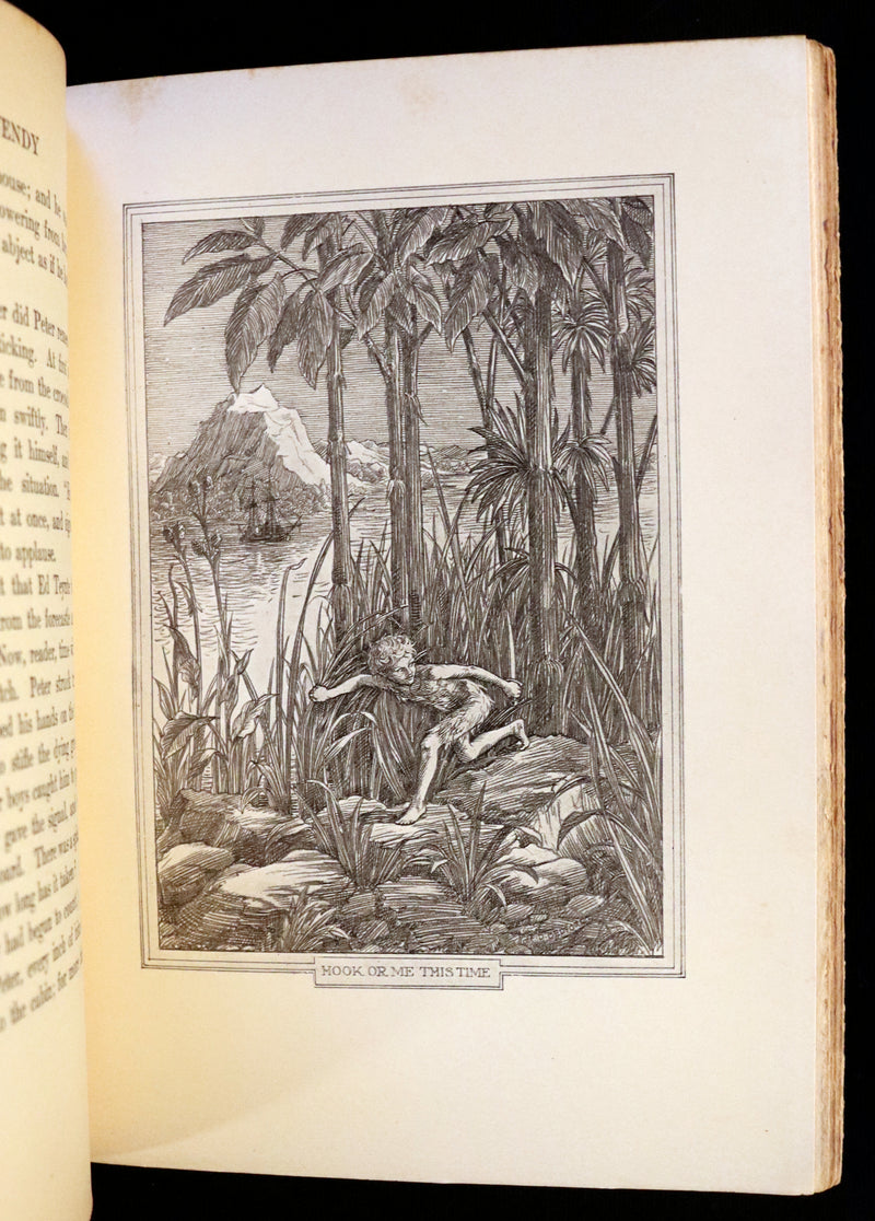 1911 Rare PETER PAN First Edition - PETER and WENDY by James Matthew Barrie illustrated by F.D. Bedford.