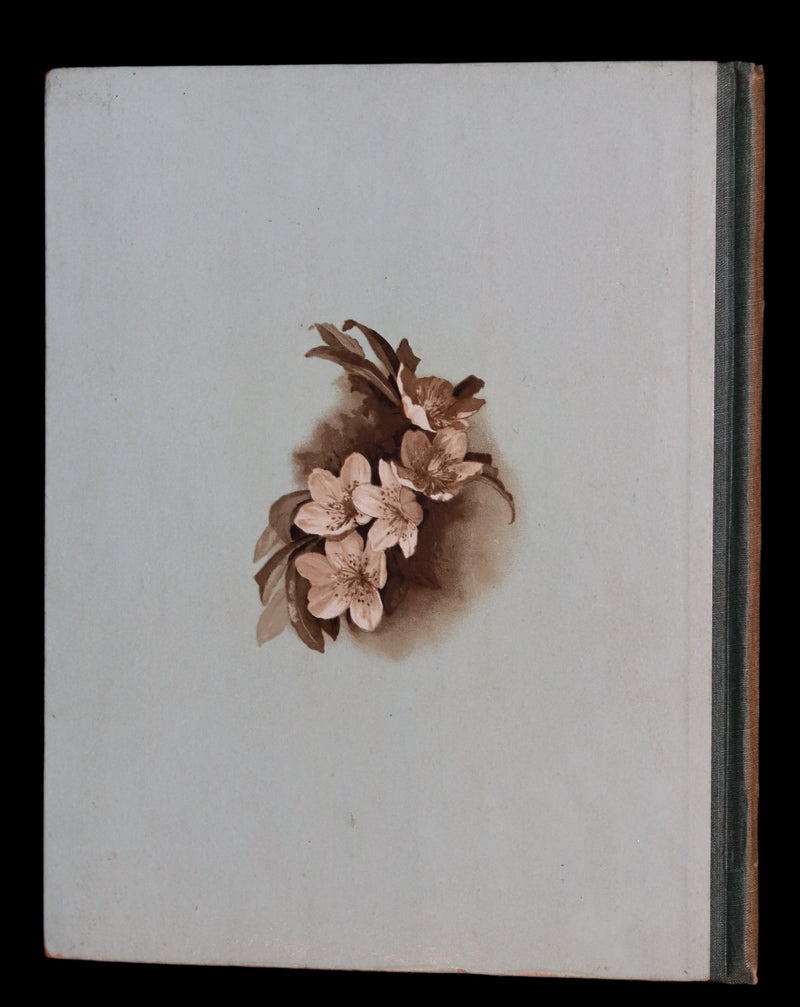 1887 Scarce Victorian Book ~ Christmas Roses illustrated by Lizzie Lawson Mack.