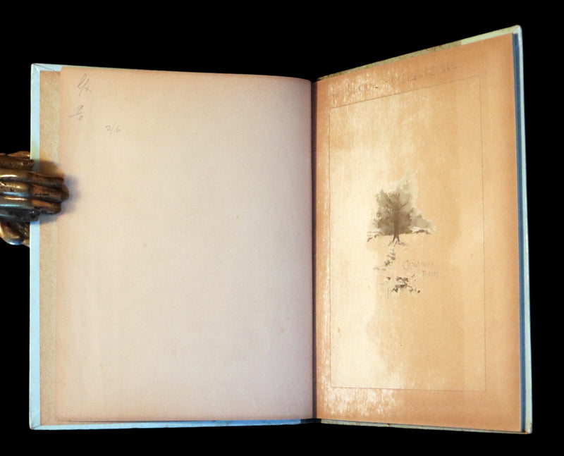 1887 Scarce Victorian Book ~ Christmas Roses illustrated by Lizzie Lawson Mack.