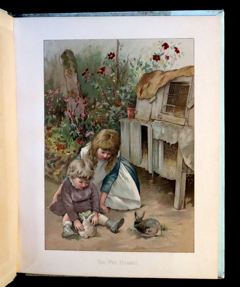 1887 Scarce Victorian Book ~ Christmas Roses illustrated by Lizzie Lawson Mack.