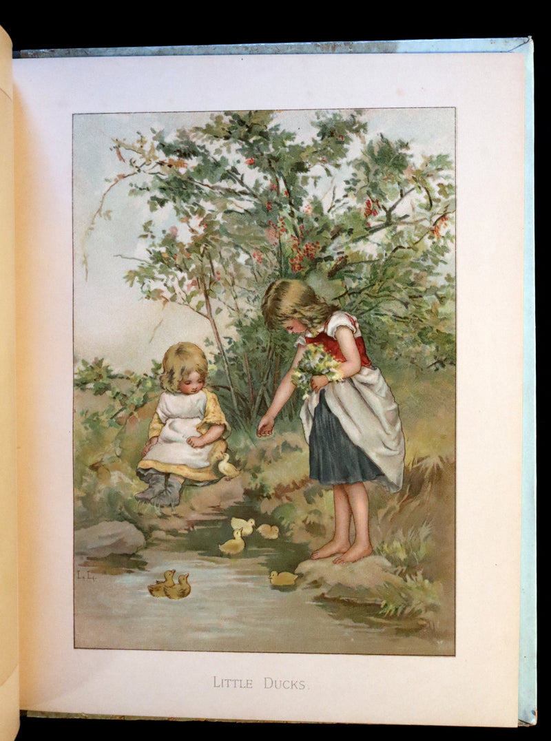 1887 Scarce Victorian Book ~ Christmas Roses illustrated by Lizzie Lawson Mack.