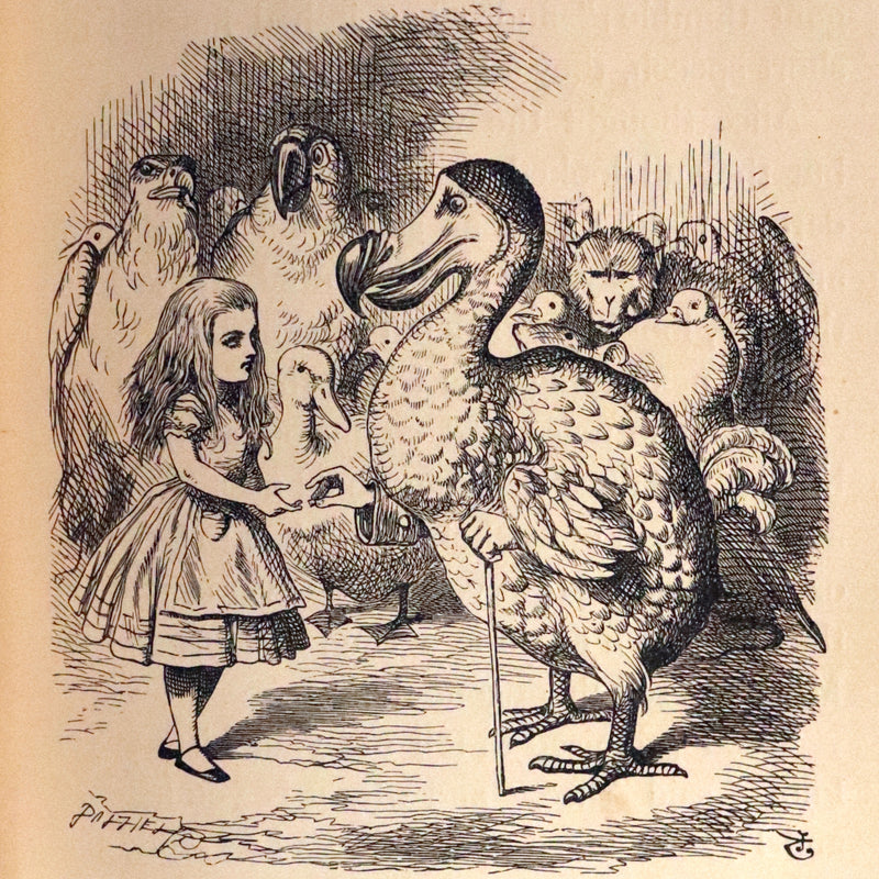 1912 Rare Book - Alice's Adventures in Wonderland by Lewis Carroll illustrated by John Tenniel.