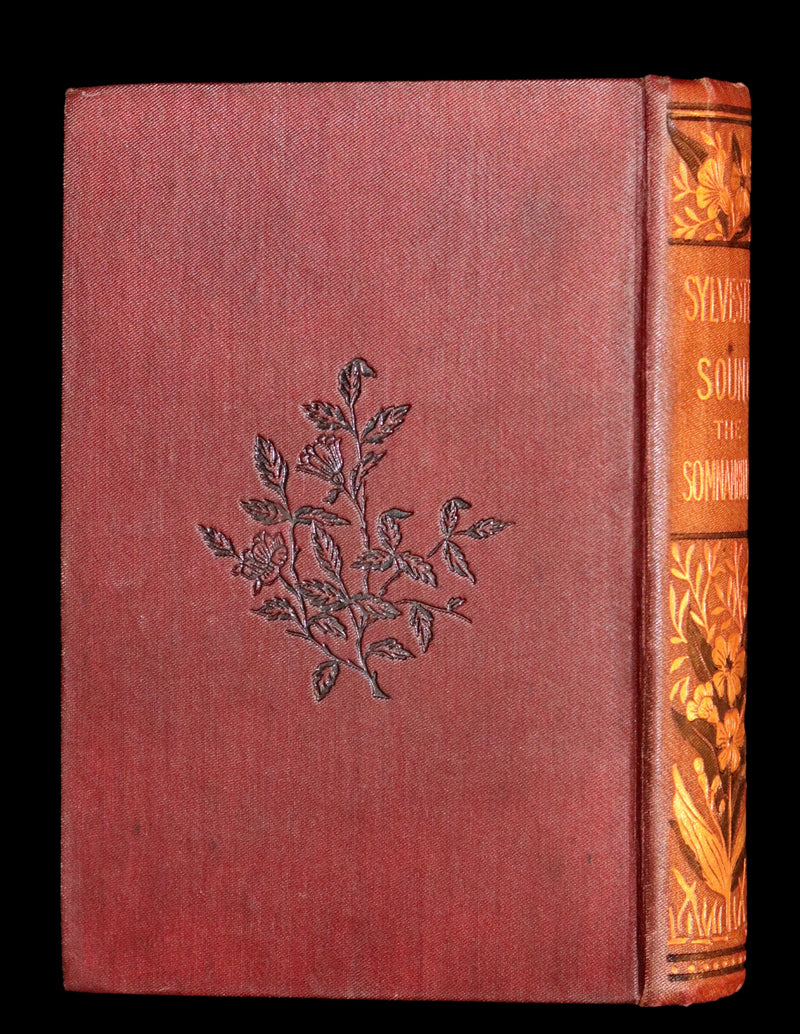 1888 Rare Victorian Book - Sylvester Sound the SOMNAMBULIST by Henry Cockton.