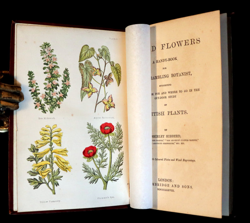 1878 Rare Victorian Book - FIELD FLOWERS, A handy-book for the rambling by the famous botanist James Shirley Hibberd.