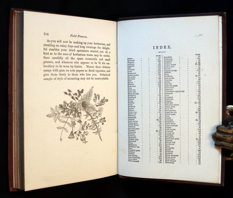 1878 Rare Victorian Book - FIELD FLOWERS, A handy-book for the rambling by the famous botanist James Shirley Hibberd.