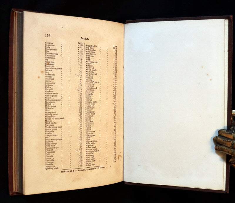 1878 Rare Victorian Book - FIELD FLOWERS, A handy-book for the rambling by the famous botanist James Shirley Hibberd.