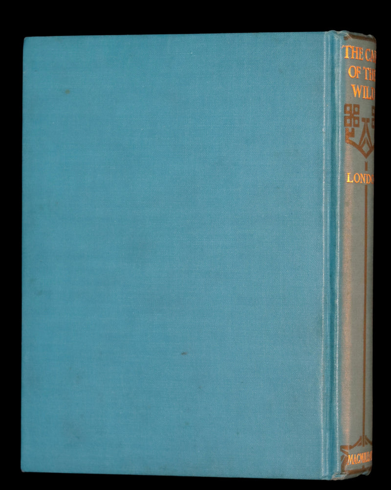 1927 Rare Book - The Call of the Wild by Jack London illustrated by Paul Bransom.