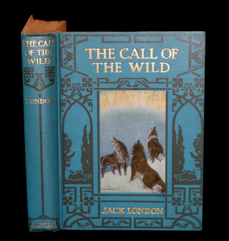1927 Rare Book - The Call of the Wild by Jack London illustrated by Paul Bransom.