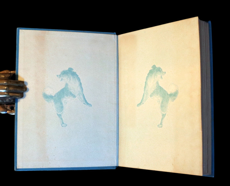 1927 Rare Book - The Call of the Wild by Jack London illustrated by Paul Bransom.