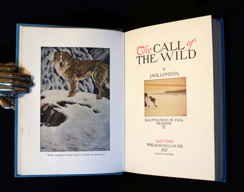 1927 Rare Book - The Call of the Wild by Jack London illustrated by Paul Bransom.