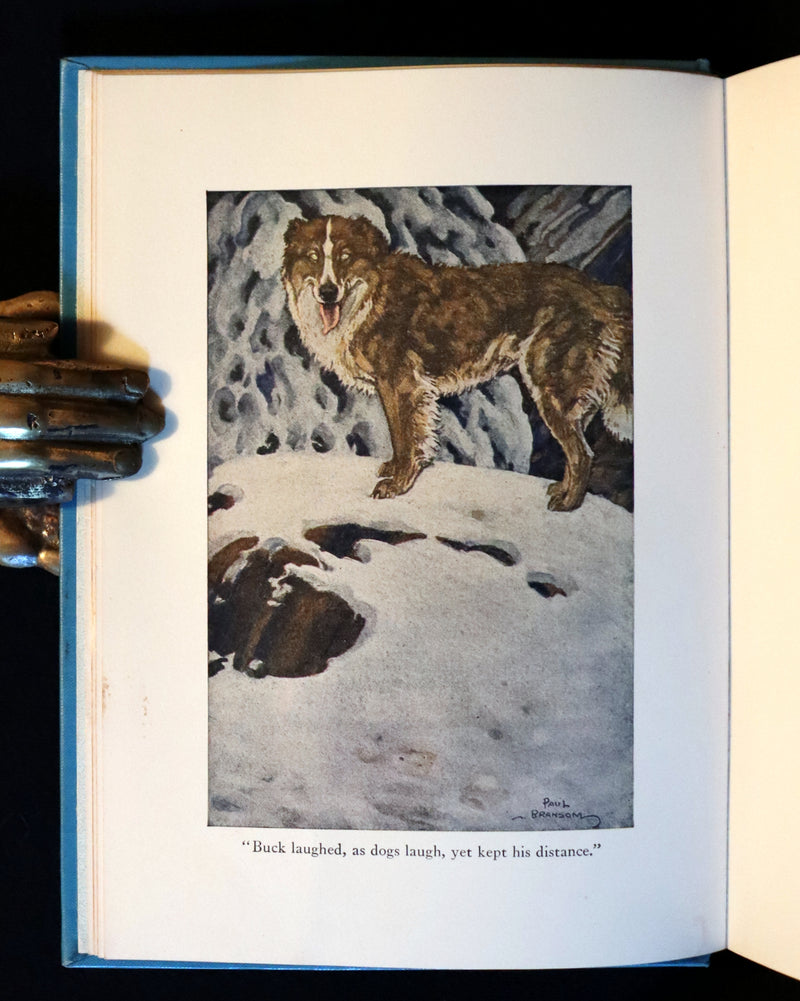 1927 Rare Book - The Call of the Wild by Jack London illustrated by Paul Bransom.
