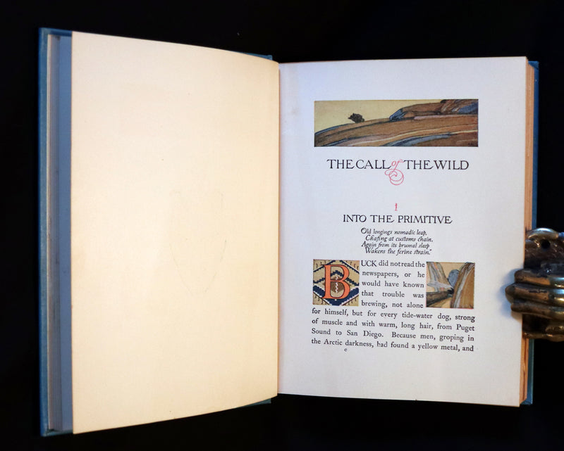 1927 Rare Book - The Call of the Wild by Jack London illustrated by Paul Bransom.