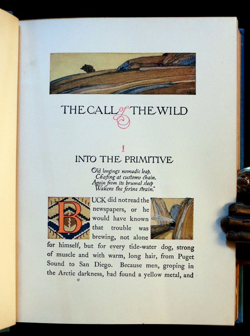 1927 Rare Book - The Call of the Wild by Jack London illustrated by Paul Bransom.