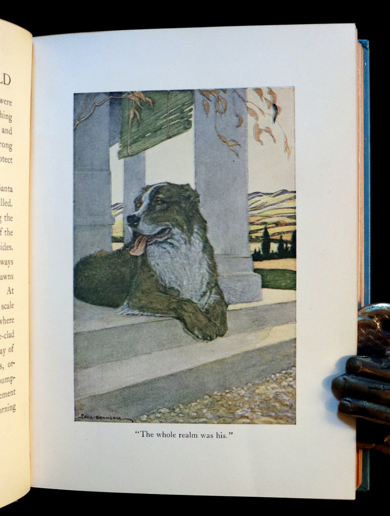 1927 Rare Book - The Call of the Wild by Jack London illustrated by Paul Bransom.