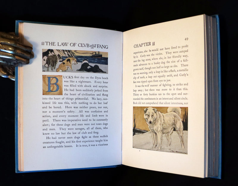 1927 Rare Book - The Call of the Wild by Jack London illustrated by Paul Bransom.