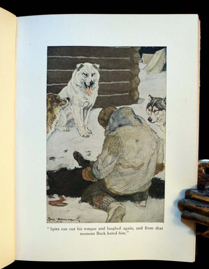 1927 Rare Book - The Call of the Wild by Jack London illustrated by Paul Bransom.