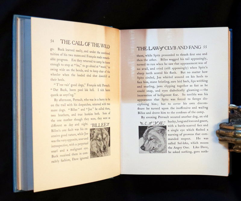 1927 Rare Book - The Call of the Wild by Jack London illustrated by Paul Bransom.