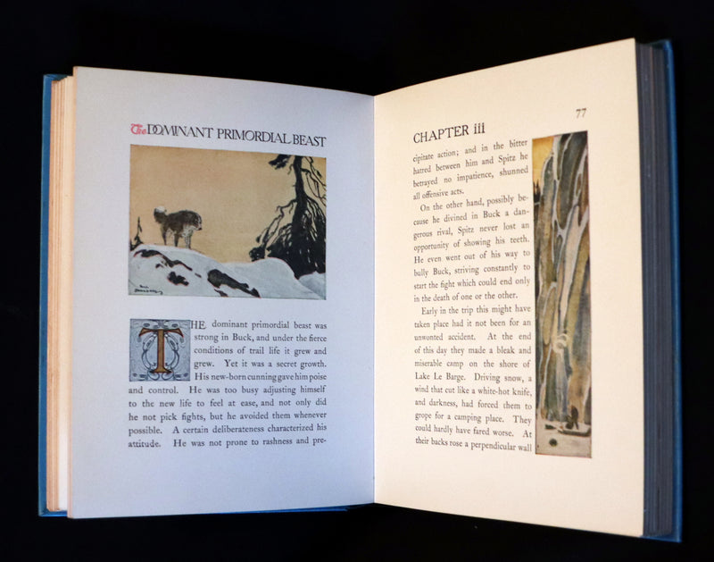 1927 Rare Book - The Call of the Wild by Jack London illustrated by Paul Bransom.