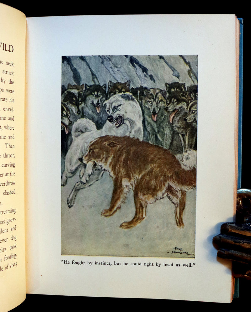 1927 Rare Book - The Call of the Wild by Jack London illustrated by Paul Bransom.