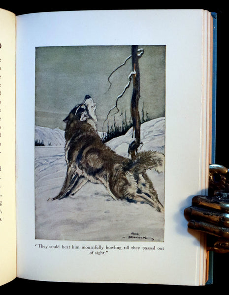 1927 Rare Book - The Call of the Wild by Jack London illustrated by Paul Bransom.