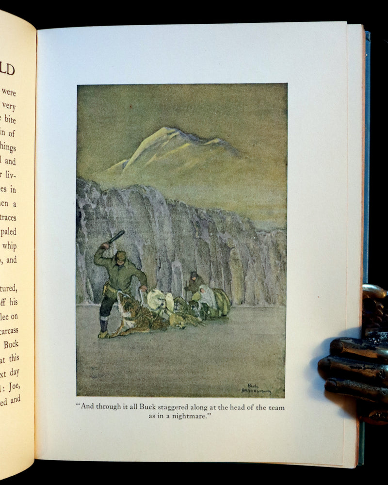 1927 Rare Book - The Call of the Wild by Jack London illustrated by Paul Bransom.