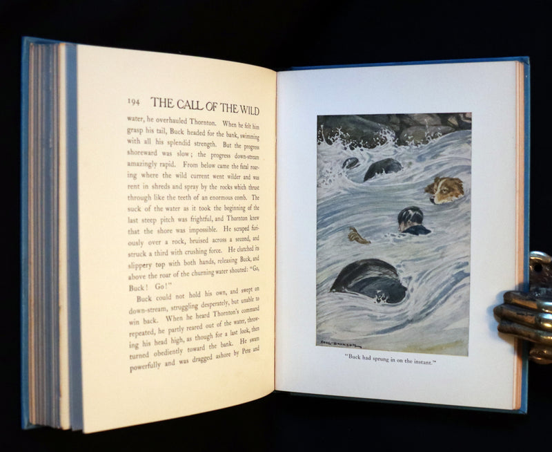 1927 Rare Book - The Call of the Wild by Jack London illustrated by Paul Bransom.