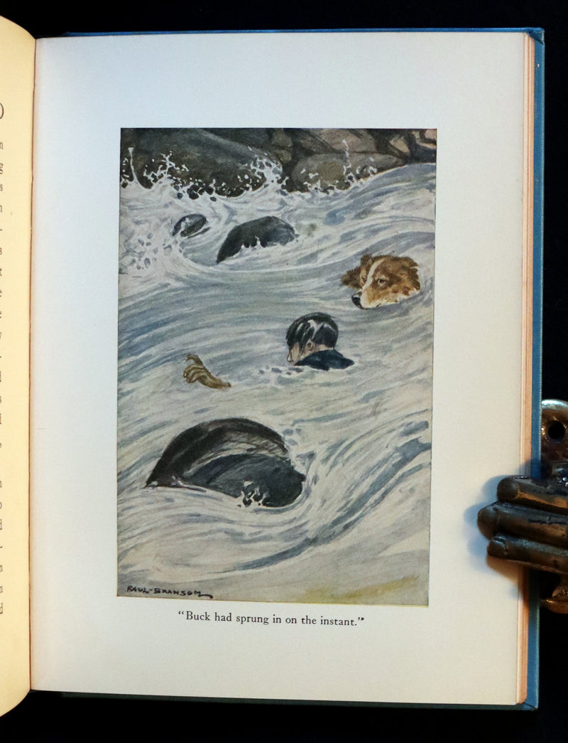 1927 Rare Book - The Call of the Wild by Jack London illustrated by Paul Bransom.