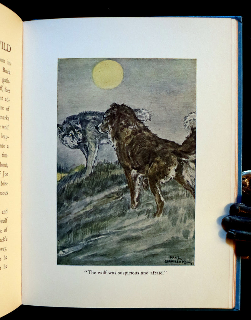 1927 Rare Book - The Call of the Wild by Jack London illustrated by Paul Bransom.
