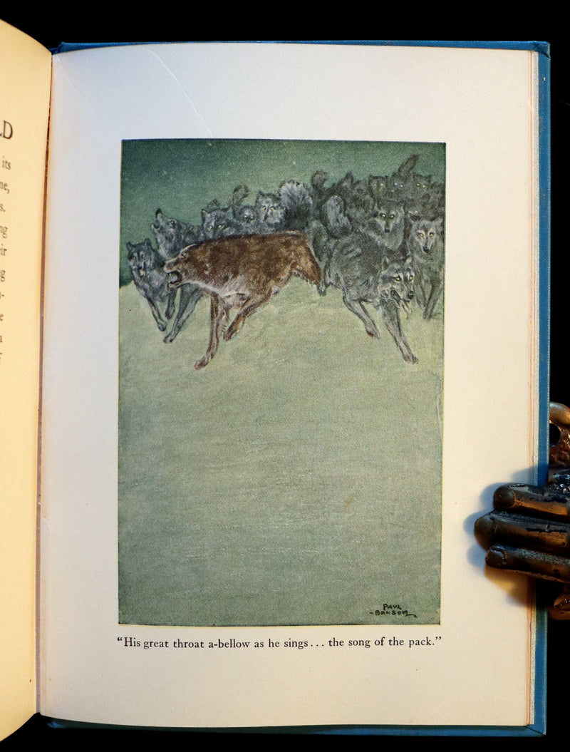 1927 Rare Book - The Call of the Wild by Jack London illustrated by Paul Bransom.