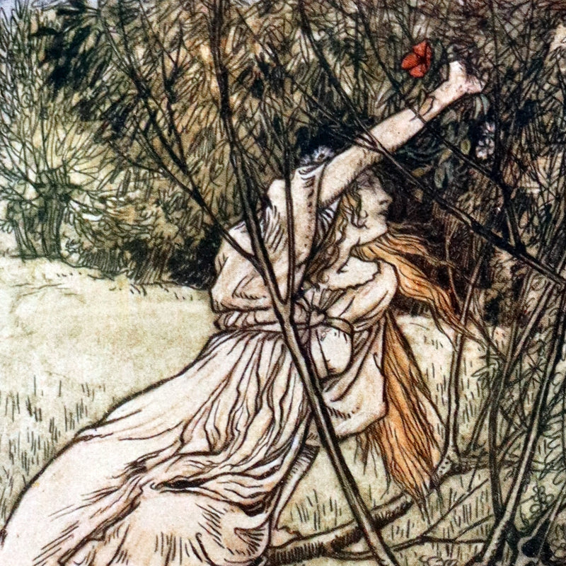 1909 First Arthur Rackham Edition - Tales From Shakespeare by Charles & Mary Lamb.