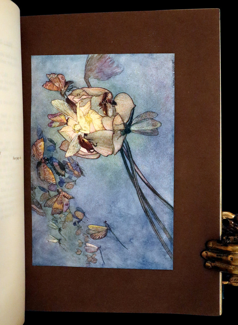 1910 Rare First Edition - Green Willow and Other Japanese Fairy Tales Illustrated by Warwick Goble.