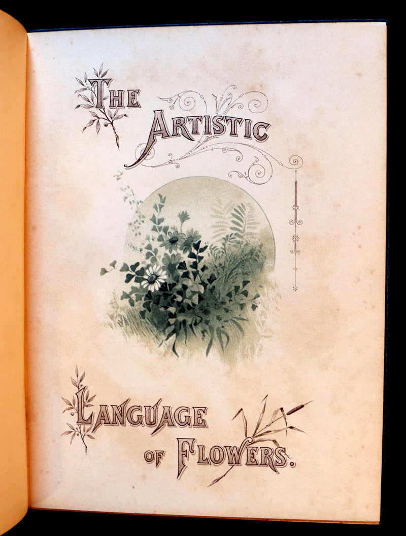 1890 Scarce Floriography Book ~ The Artistic Language of Flowers, Color Illustrated.