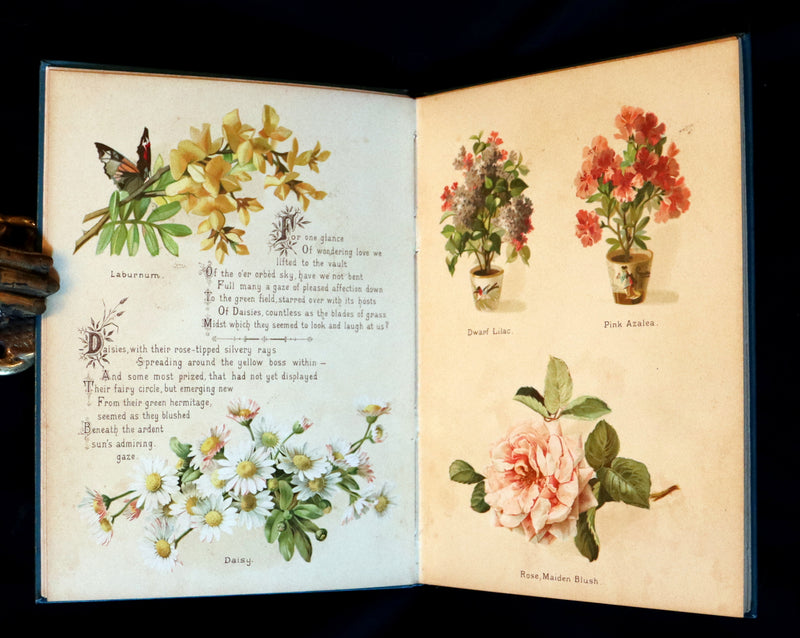 1890 Scarce Floriography Book ~ The Artistic Language of Flowers, Color Illustrated.