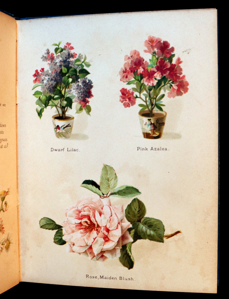 1890 Scarce Floriography Book ~ The Artistic Language of Flowers, Color Illustrated.