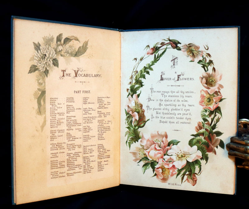 1890 Scarce Floriography Book ~ The Artistic Language of Flowers, Color Illustrated.