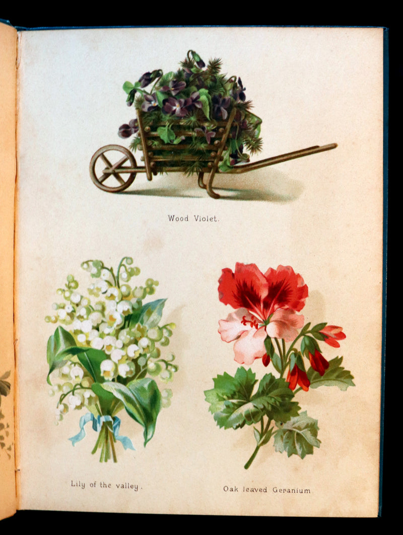 1890 Scarce Floriography Book ~ The Artistic Language of Flowers, Color Illustrated.