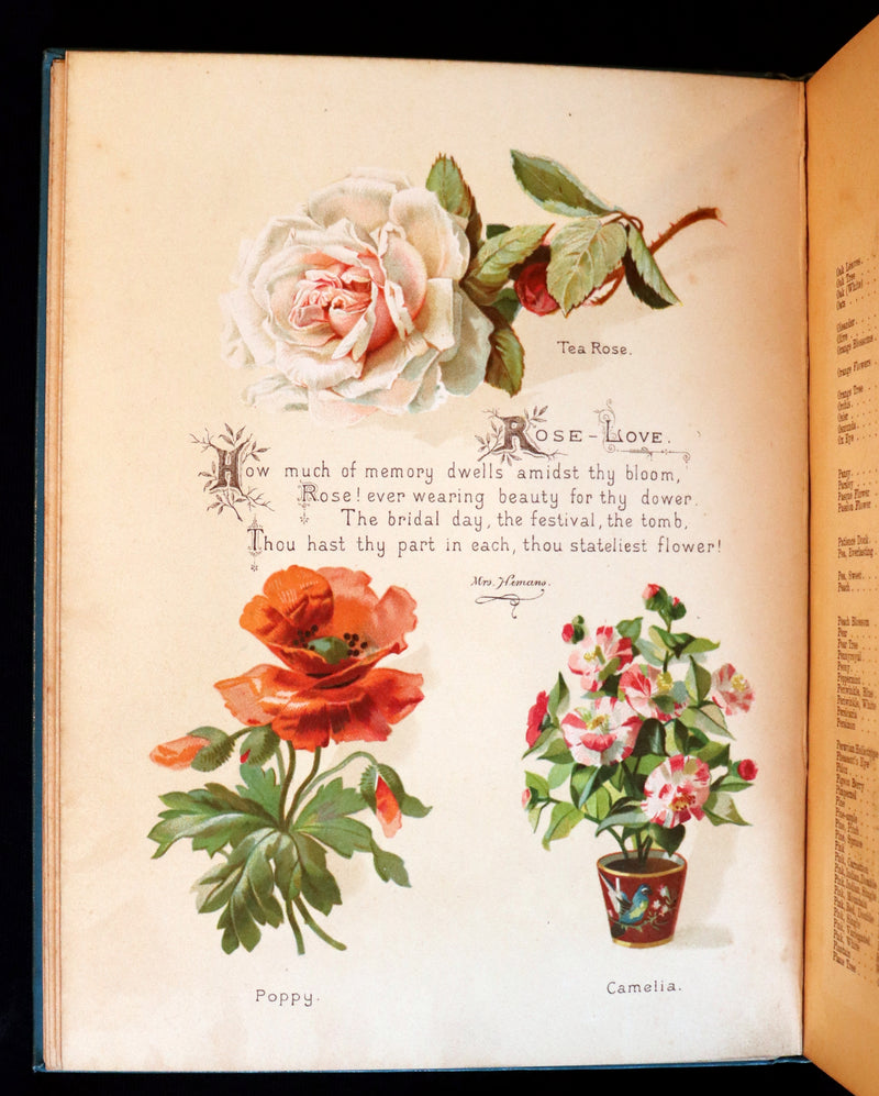 1890 Scarce Floriography Book ~ The Artistic Language of Flowers, Color Illustrated.