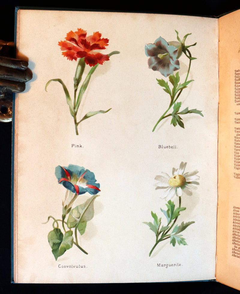 1890 Scarce Floriography Book ~ The Artistic Language of Flowers, Color Illustrated.
