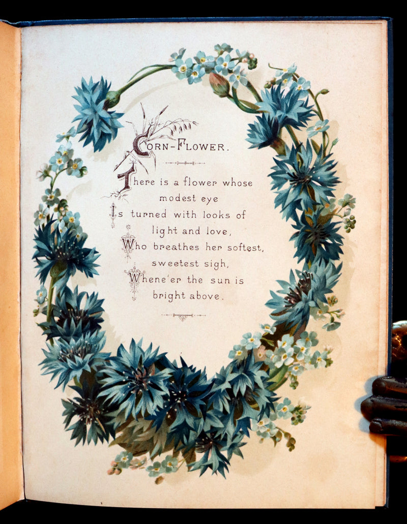 1890 Scarce Floriography Book ~ The Artistic Language of Flowers, Color Illustrated.