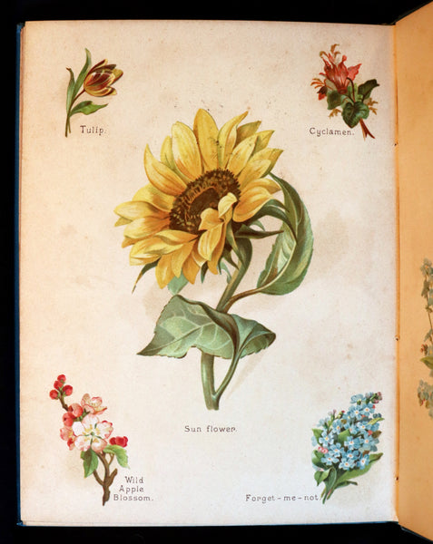 1890 Scarce Floriography Book ~ The Artistic Language of Flowers, Color Illustrated.