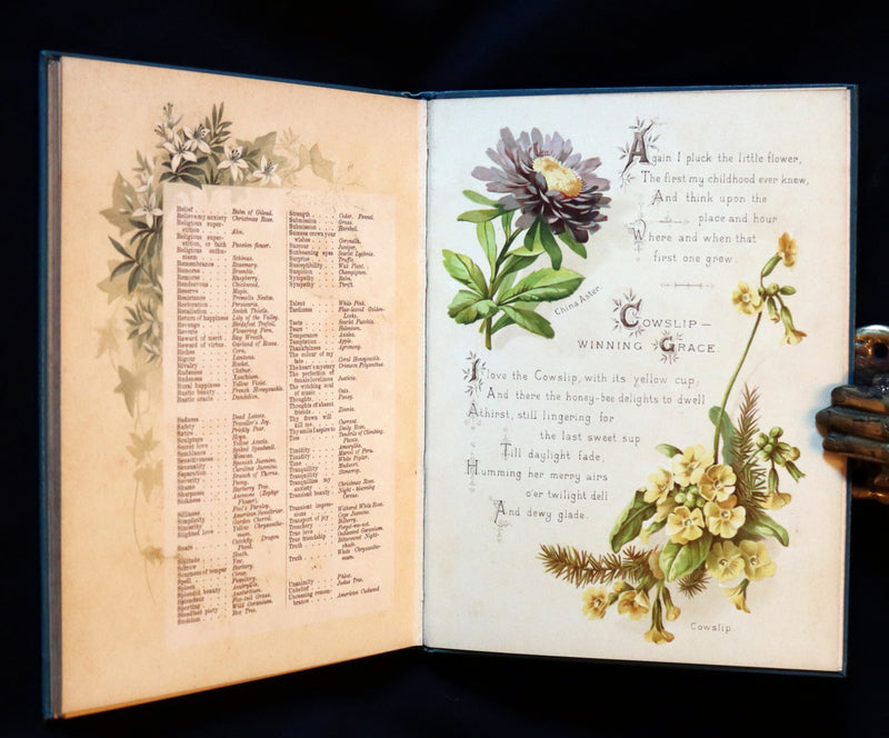 1890 Scarce Floriography Book ~ The Artistic Language of Flowers, Color Illustrated.