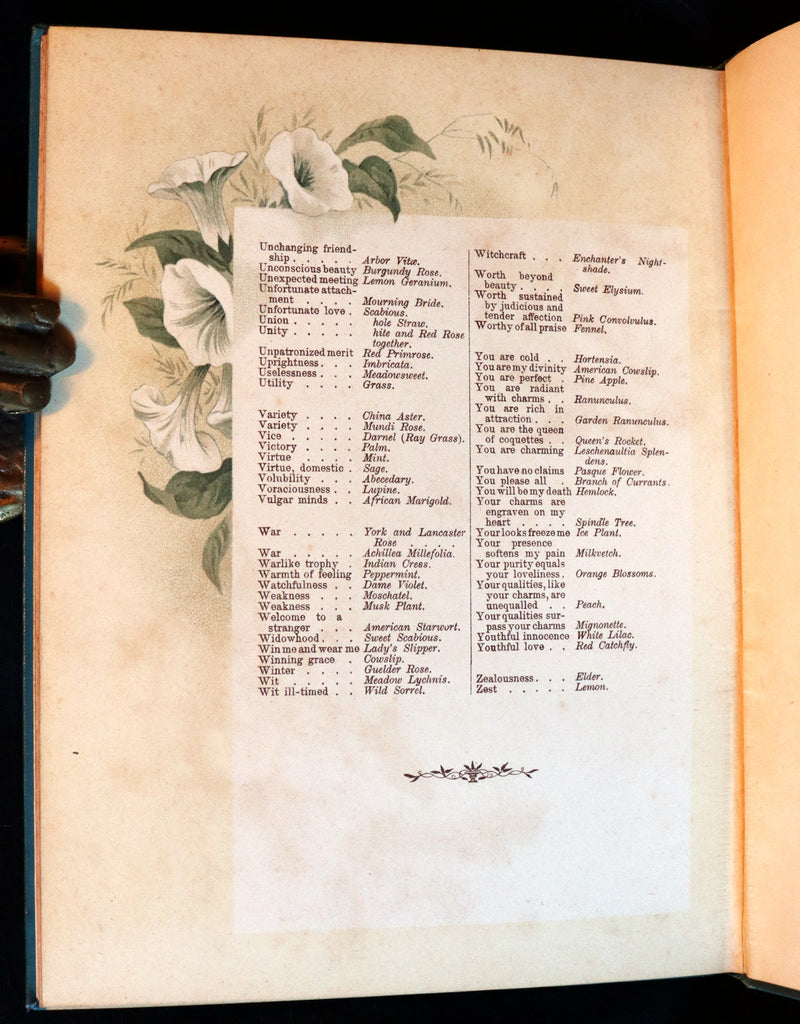 1890 Scarce Floriography Book ~ The Artistic Language of Flowers, Color Illustrated.