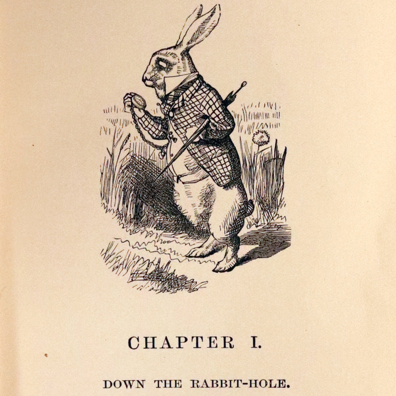 1895 Rare Victorian Book - Alice's Adventures in Wonderland by Lewis Carroll.